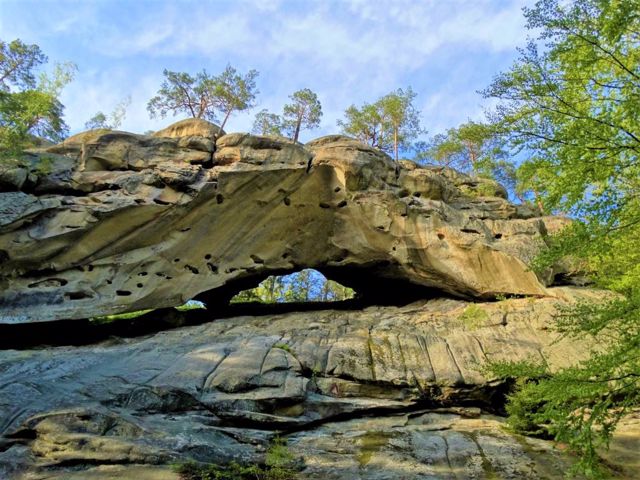 Пронзенные камни (Соколиное око), Ростоки