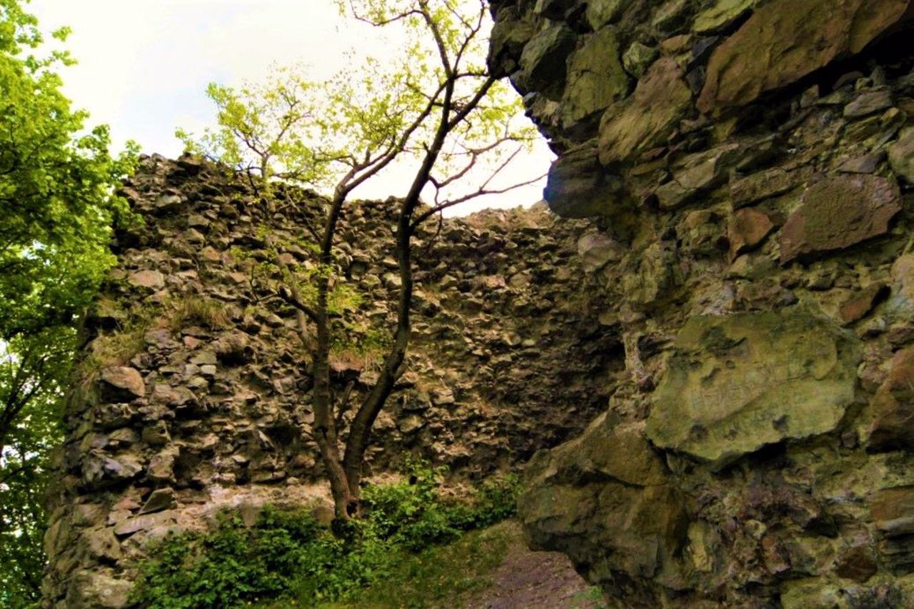 Nyalab Castle, Korolevo