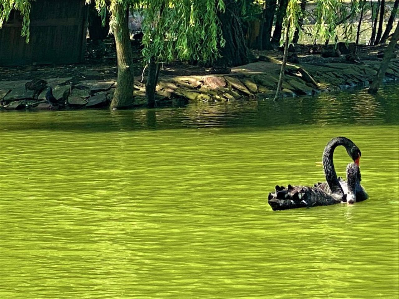 Tarasa Shevchenko Park, Ivano-Frankivsk