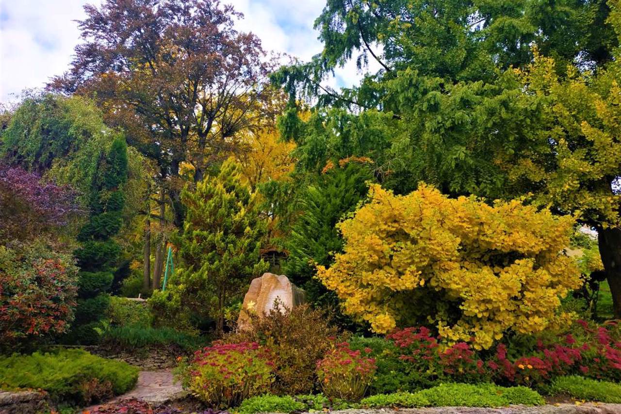 Kremenets Botanical Garden