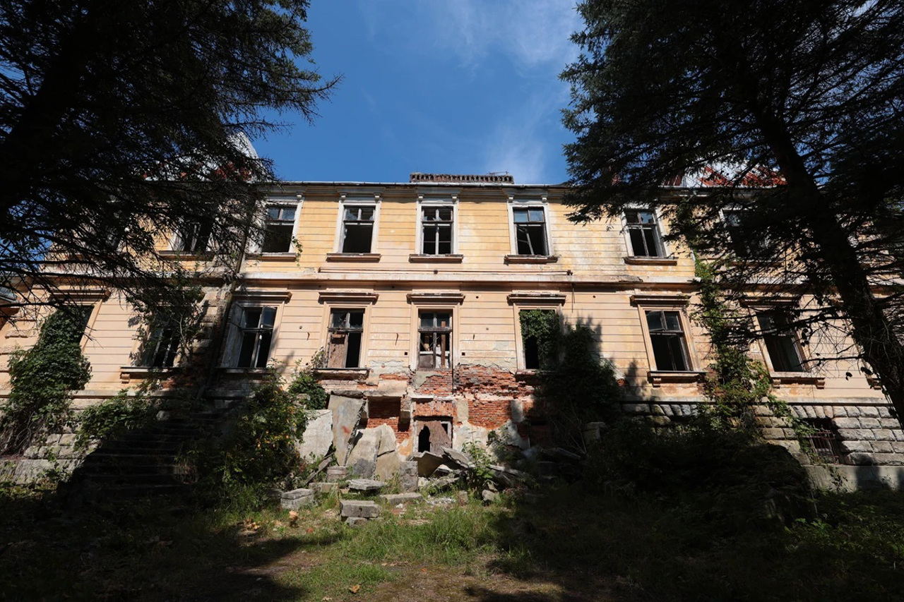 Lyantskoronsky palace, Rozdil