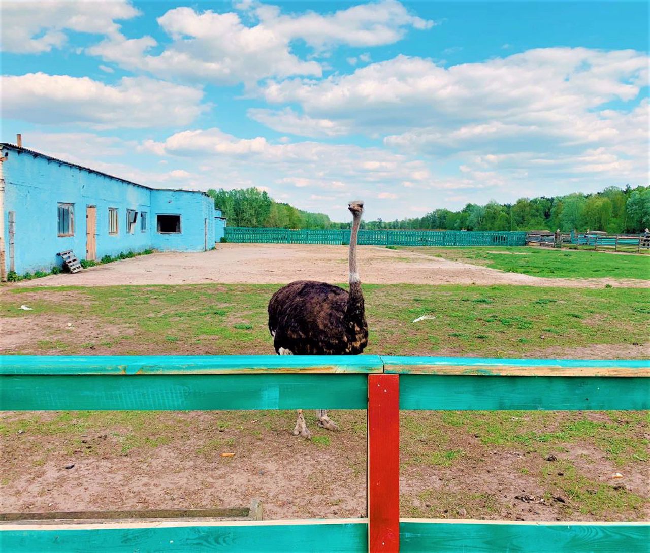 Farm "Kyilivska Askania", Kyiliv