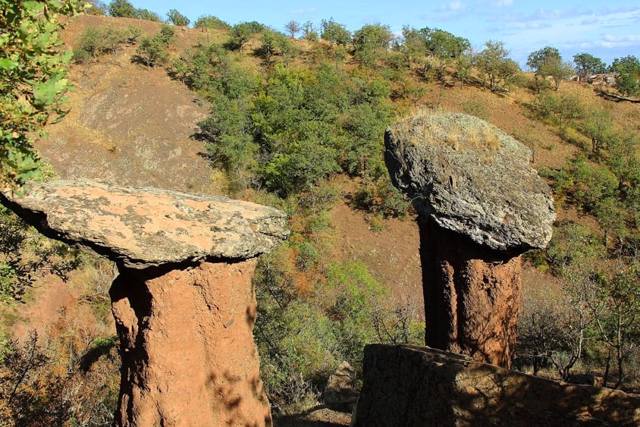 Stone Mushrooms (Sotera Valley)