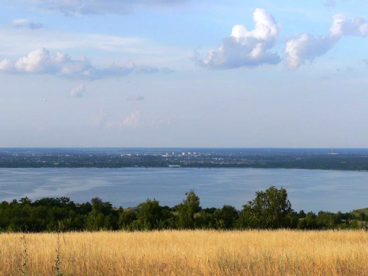 Trakhtemyriv Reserve