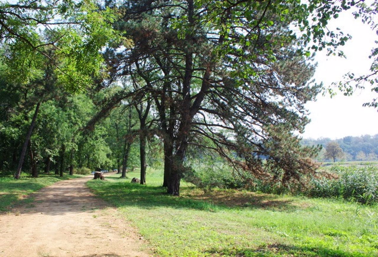 Arboretum "Veseli Bokovenky"