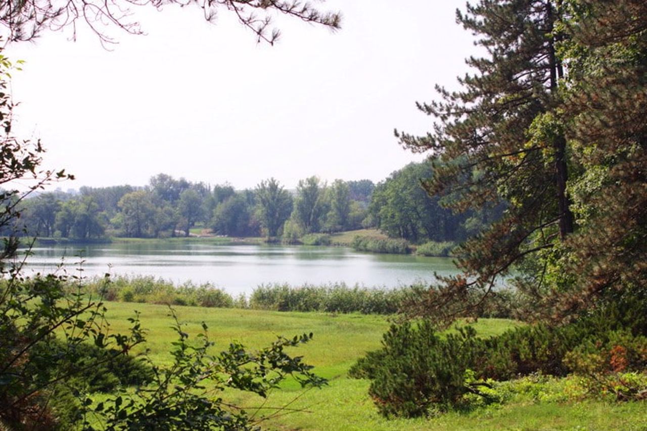 Arboretum "Veseli Bokovenky"