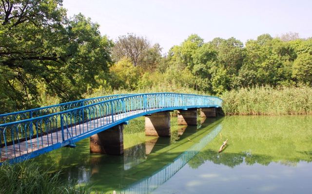 Arboretum "Veseli Bokovenky"