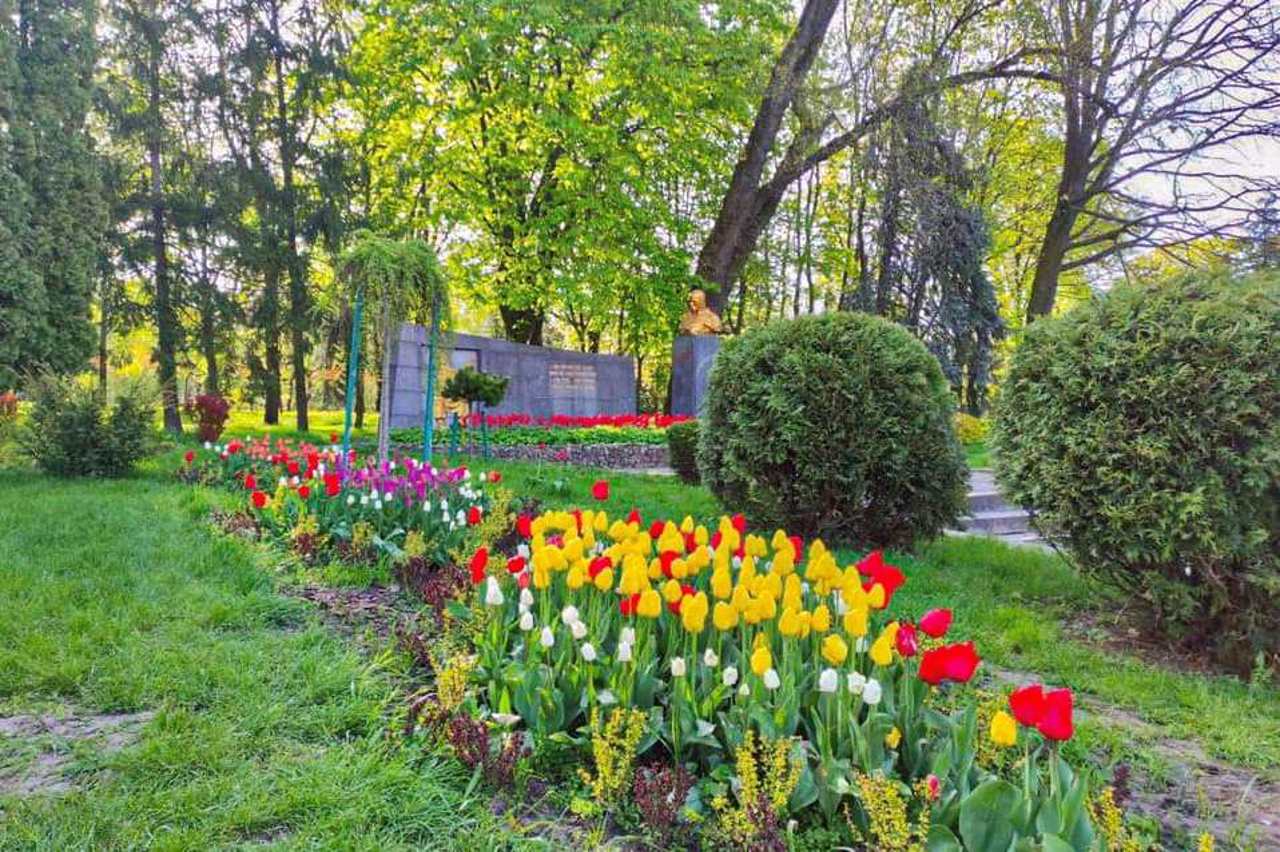 Taras Shevchenko Park, Rivne