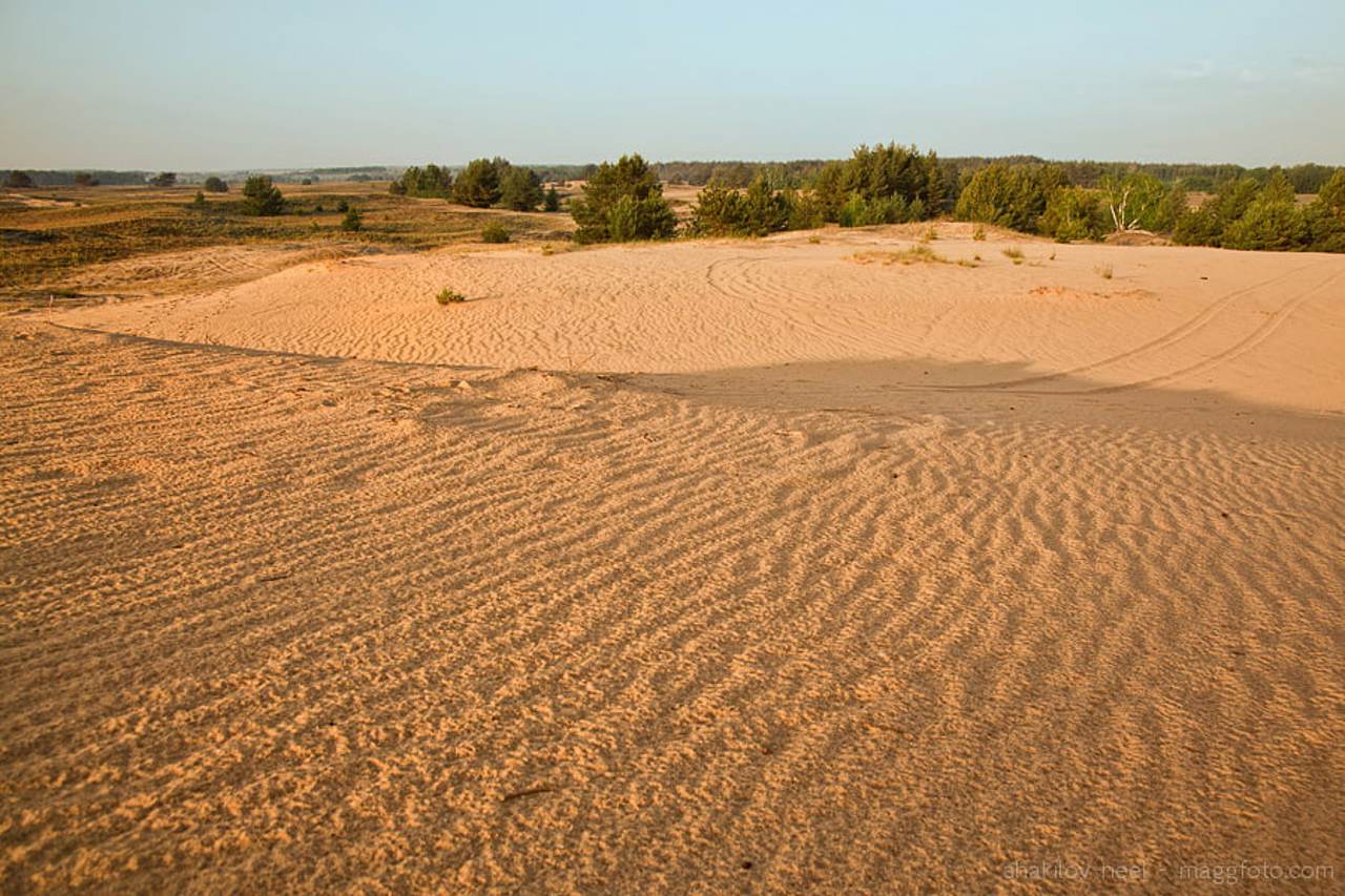 Кицівська пустеля (Бугристі піски), Кицівка