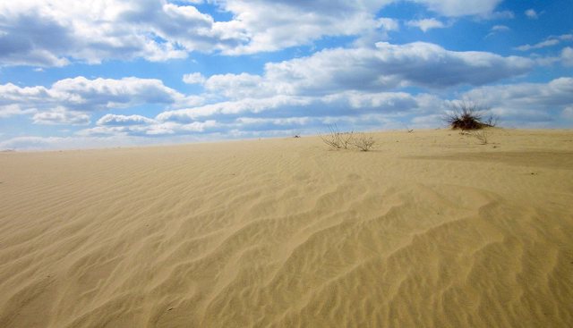 Кицівська пустеля (Бугристі піски), Кицівка