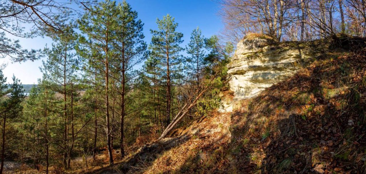 Yavoriv National Natural Park