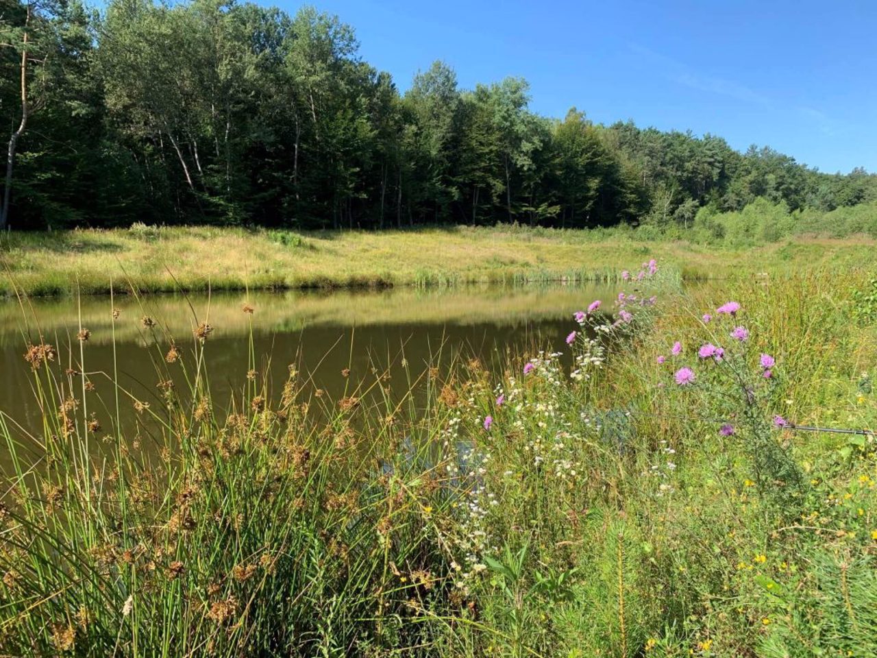 Yavoriv National Natural Park