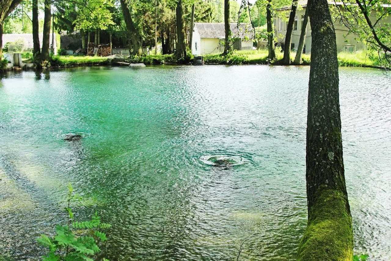 Okonsky Springs, Okonsk