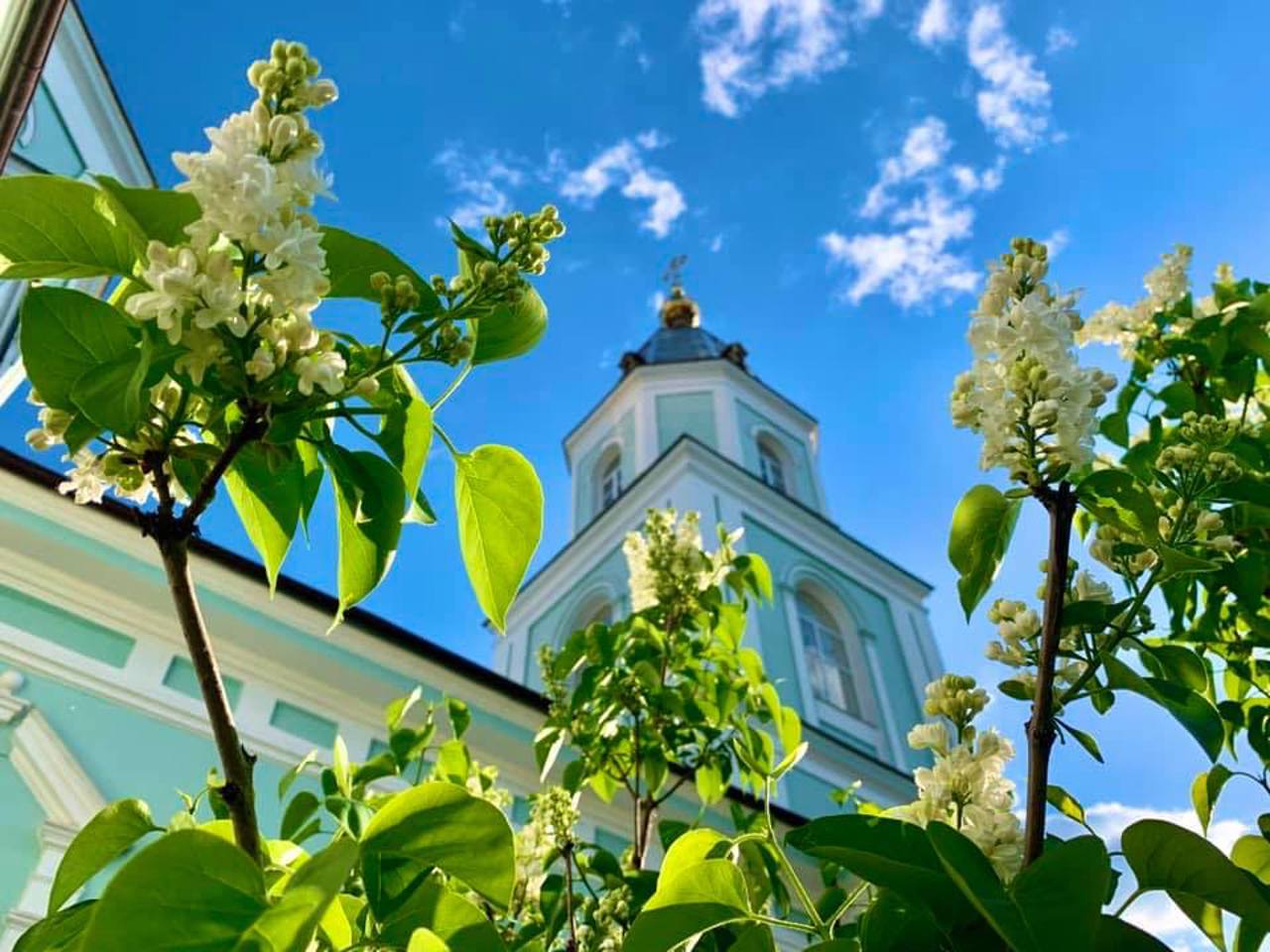 Dormition Cathedral (Podilska Church), Zhytomyr