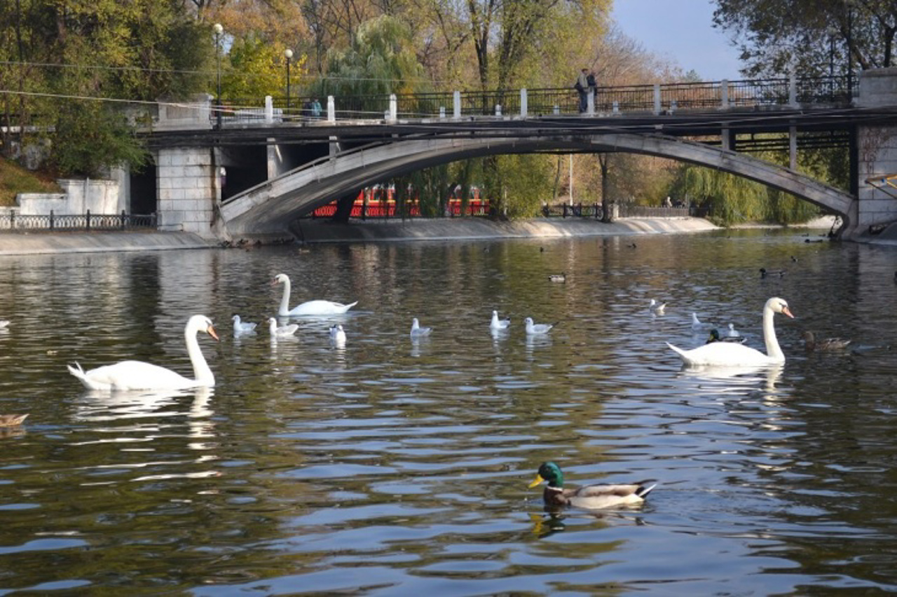 Park named after L. Hloba, Dnipro