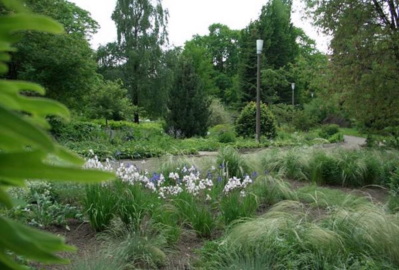 Botanical garden O. Fomin, Kyiv