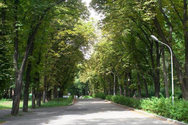 Парк імені Івана Багряного, Київ