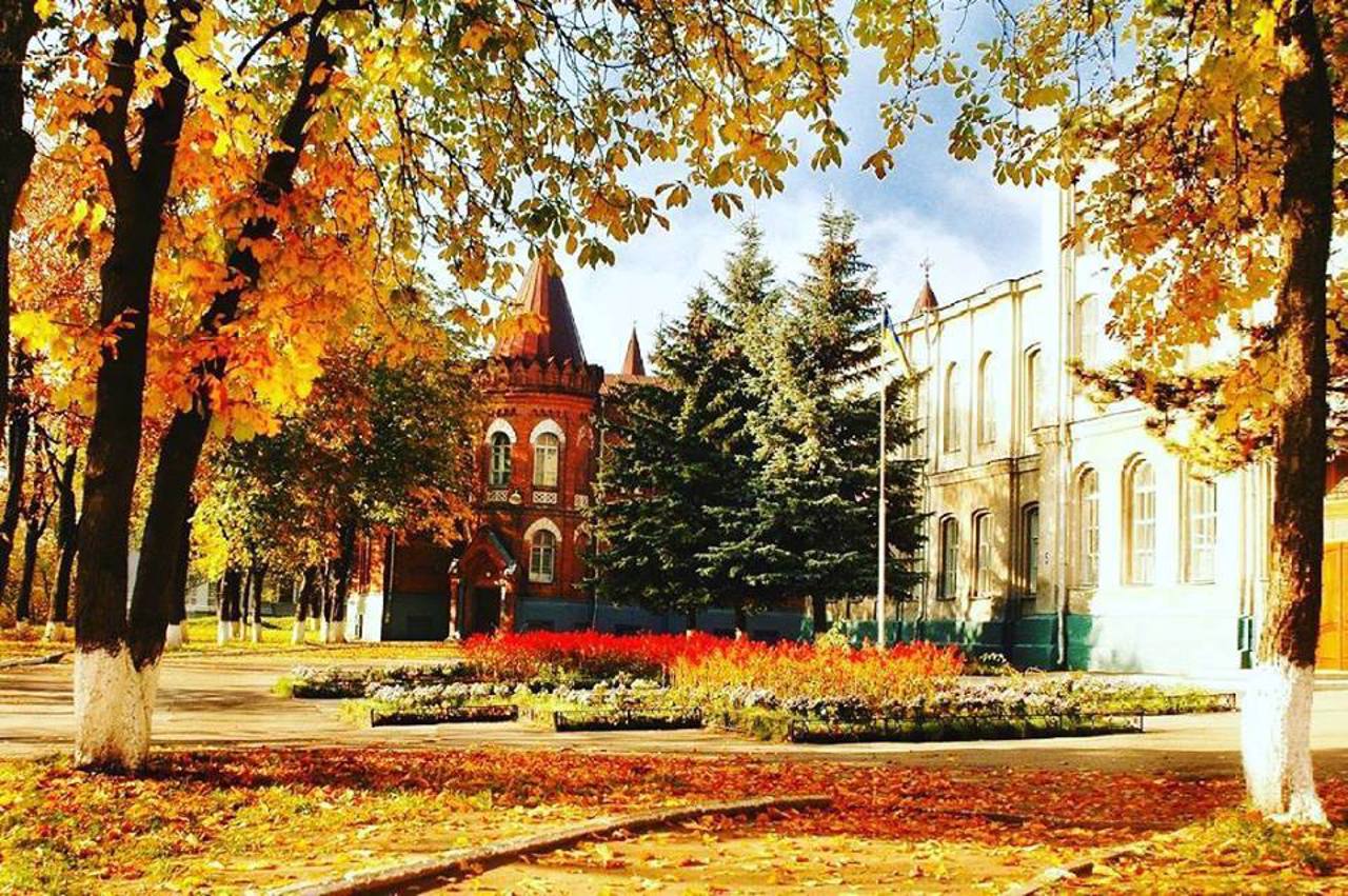 Александровская гимназия, Сумы