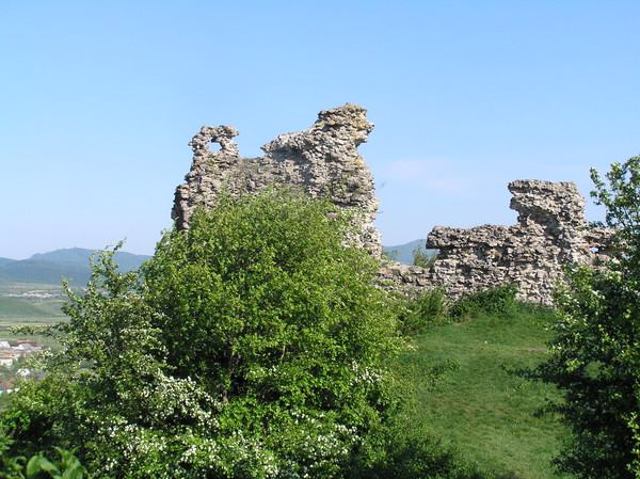 Minta Castle, Kvasovo