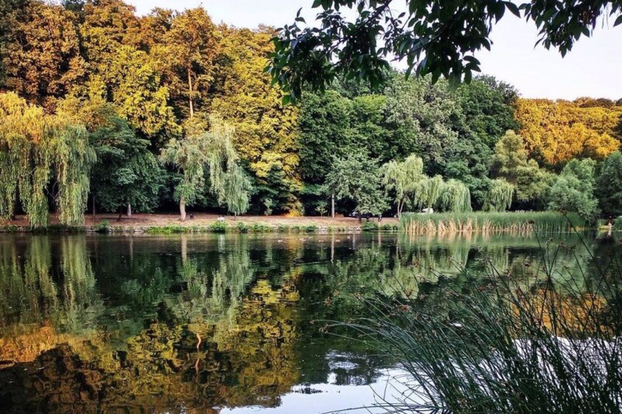 Голосеевский парк имени Максима Рыльского, Киев