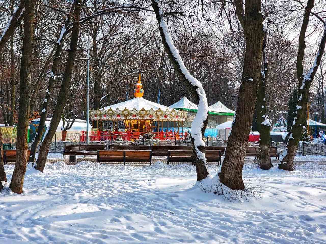 Голосеевский парк имени Максима Рыльского, Киев