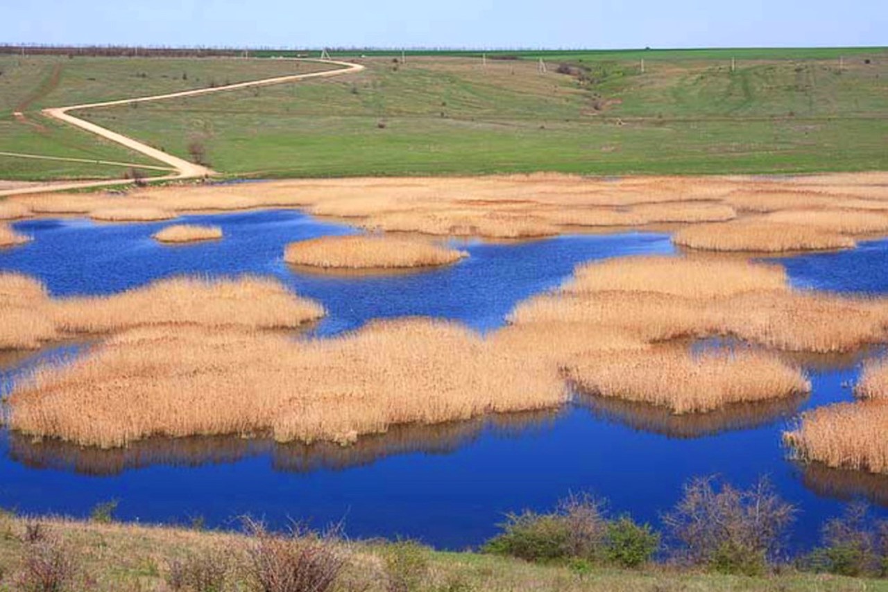 "Tylihulskyi" Regional Landscape Park