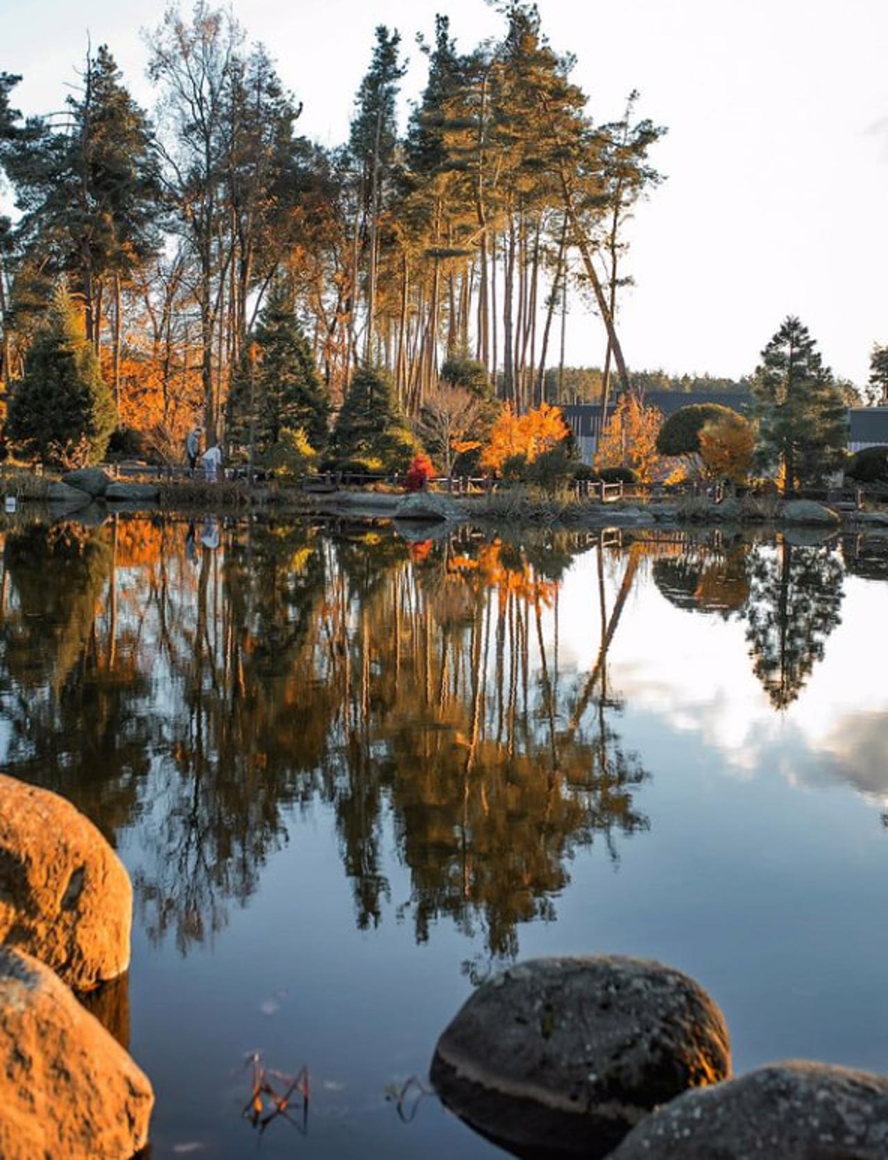 Ева Парк, Вита-Почтовая