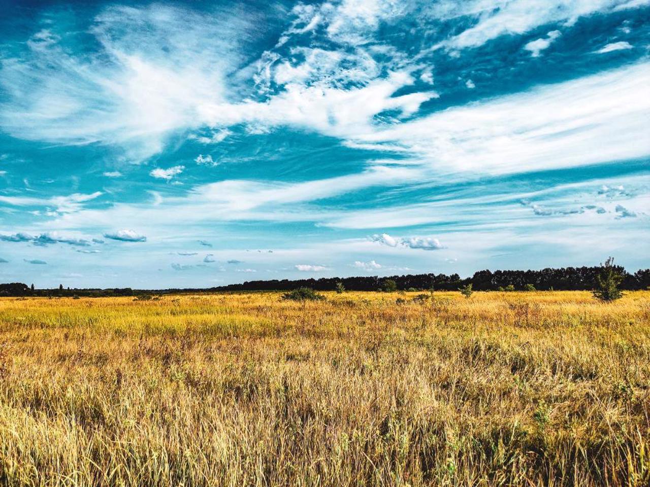 Заповідник “Михайлівська цілина”, Великі Луки