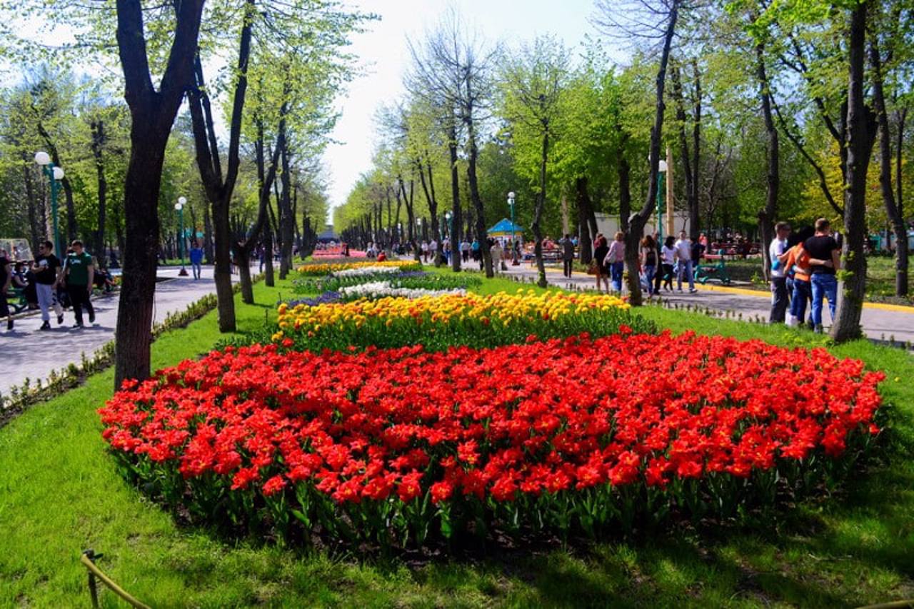 City Arboretum, Kropyvnytskyi