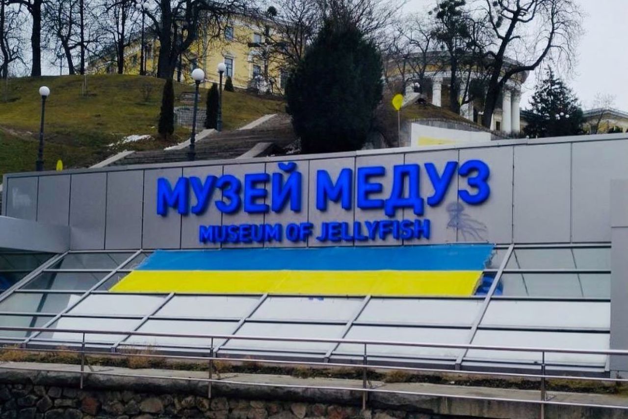 Музей медуз, Киев