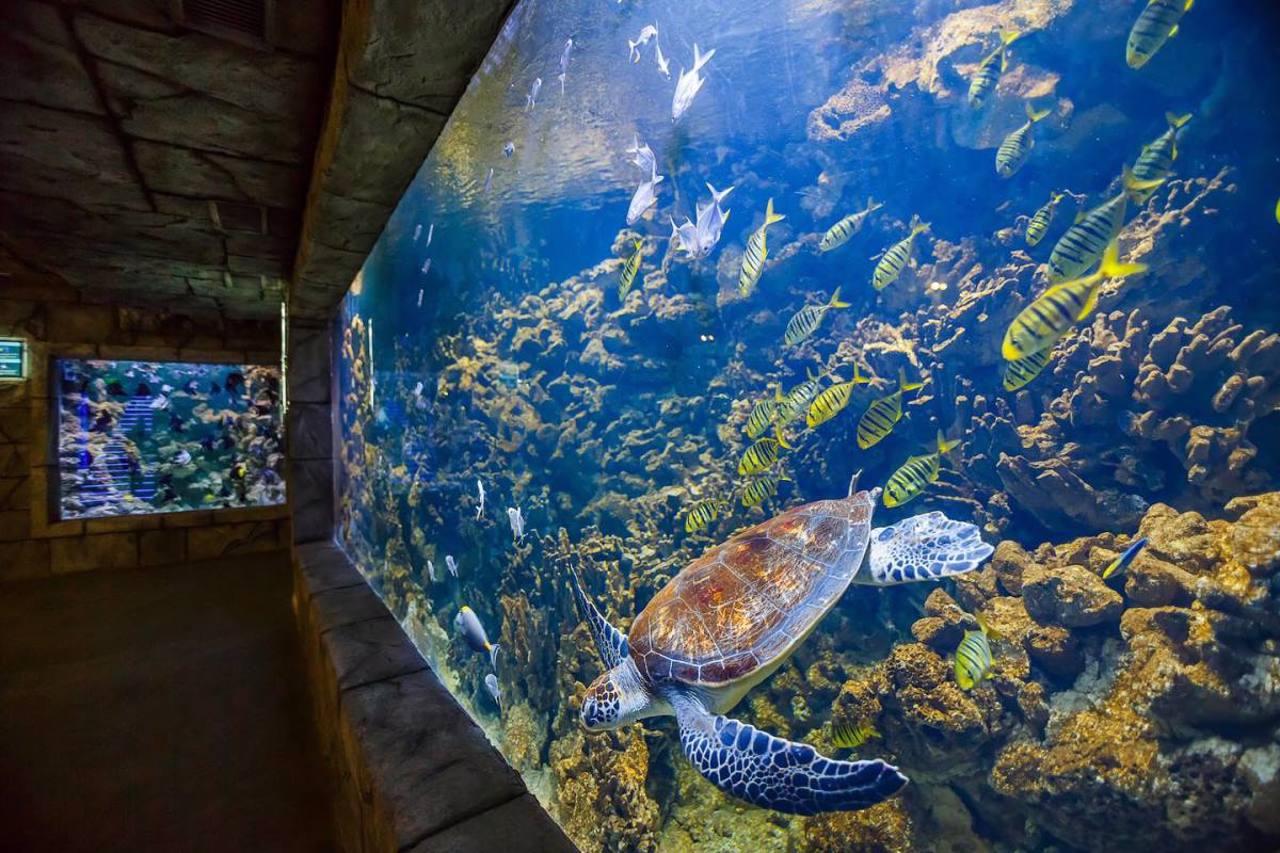 Lviv Oceanarium