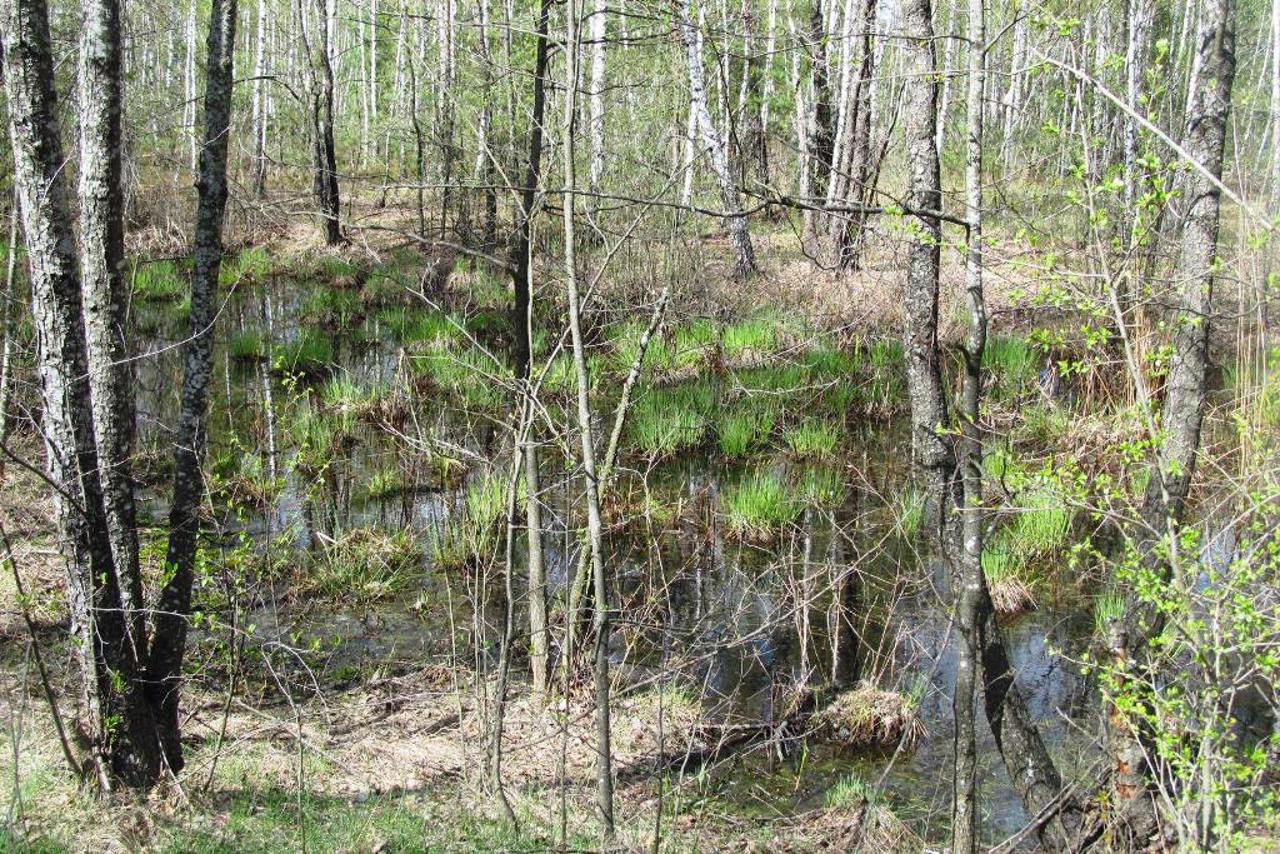 National Nature Park "Dniprovsko-Teterivskyi", Sukholuchchia