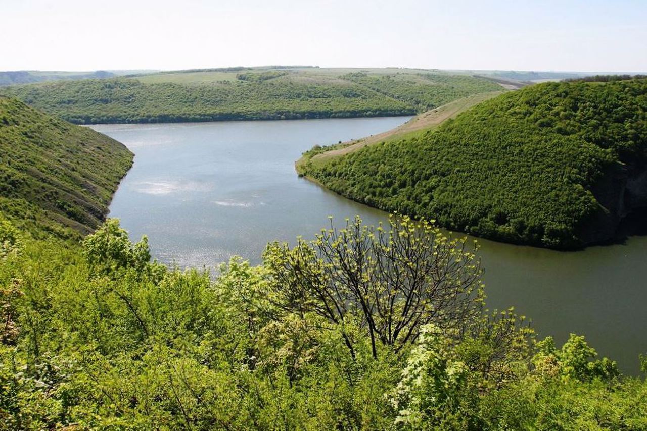 Врублевецкий лес, Врублевцы