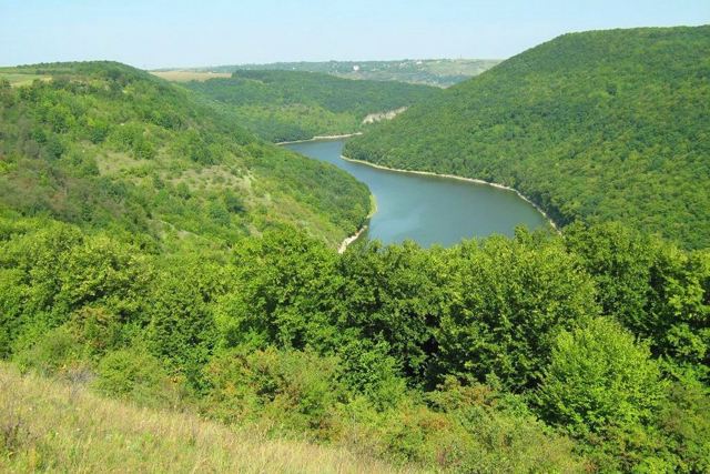 Врублівецький ліс, Врублівці