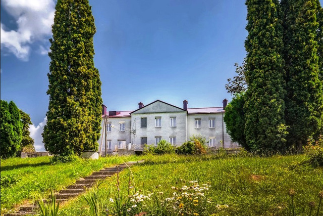 Koselsky Palace, Vinkivtsi