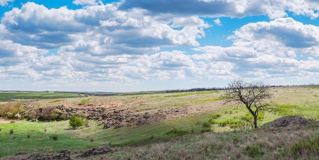 Polovtsian Steppe, Novokrasnivka