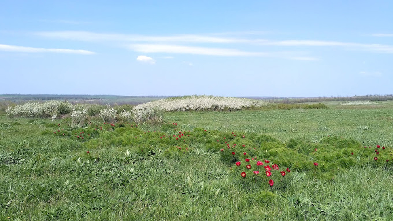 Хомутовський степ, Самсонове