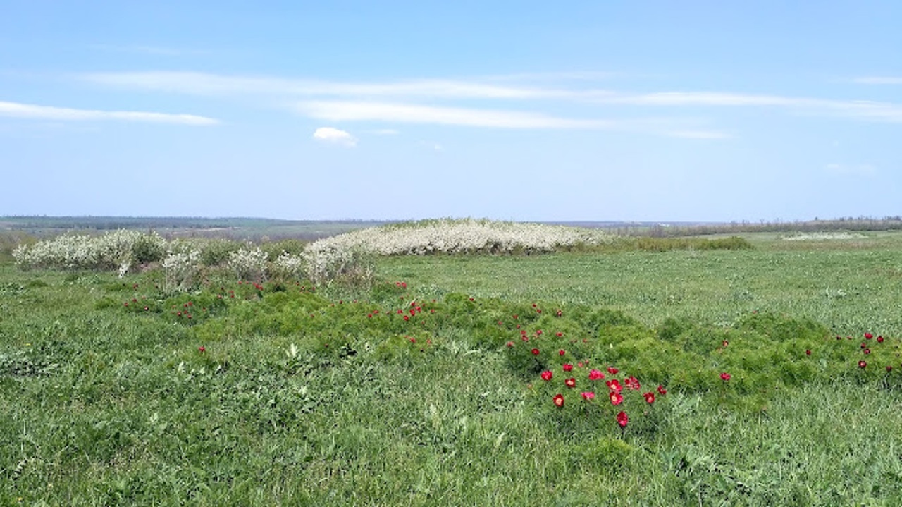 Хомутівський степ, Самсонове