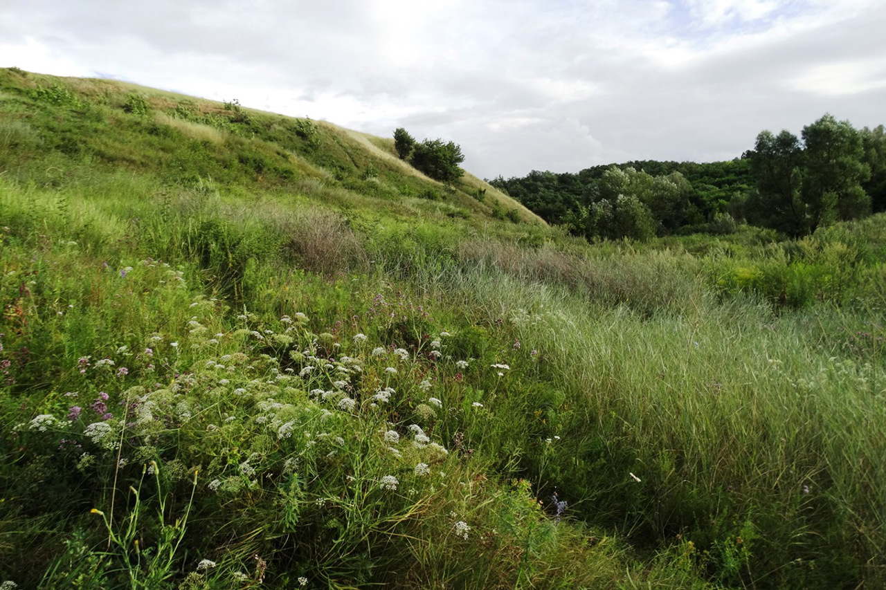 Planerna Mountain (Round Hillfort), Khodosivka