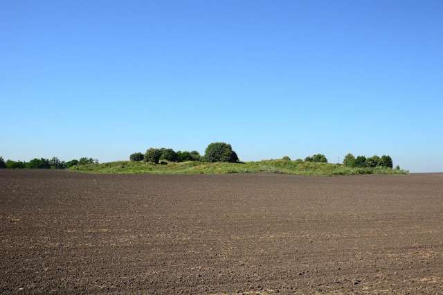 Burty Hillfort, Chaplynka