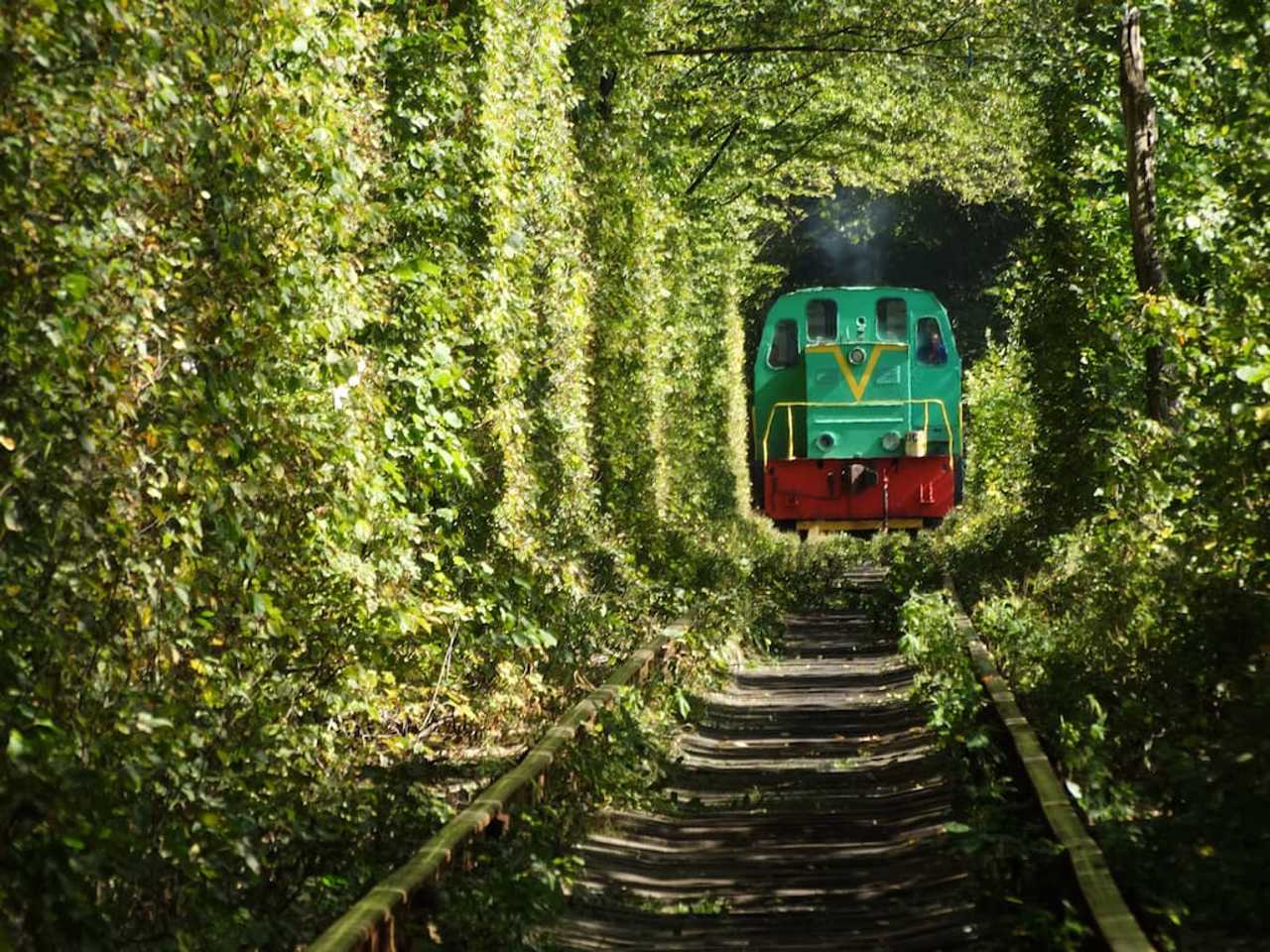 Тоннель любви, Клевань