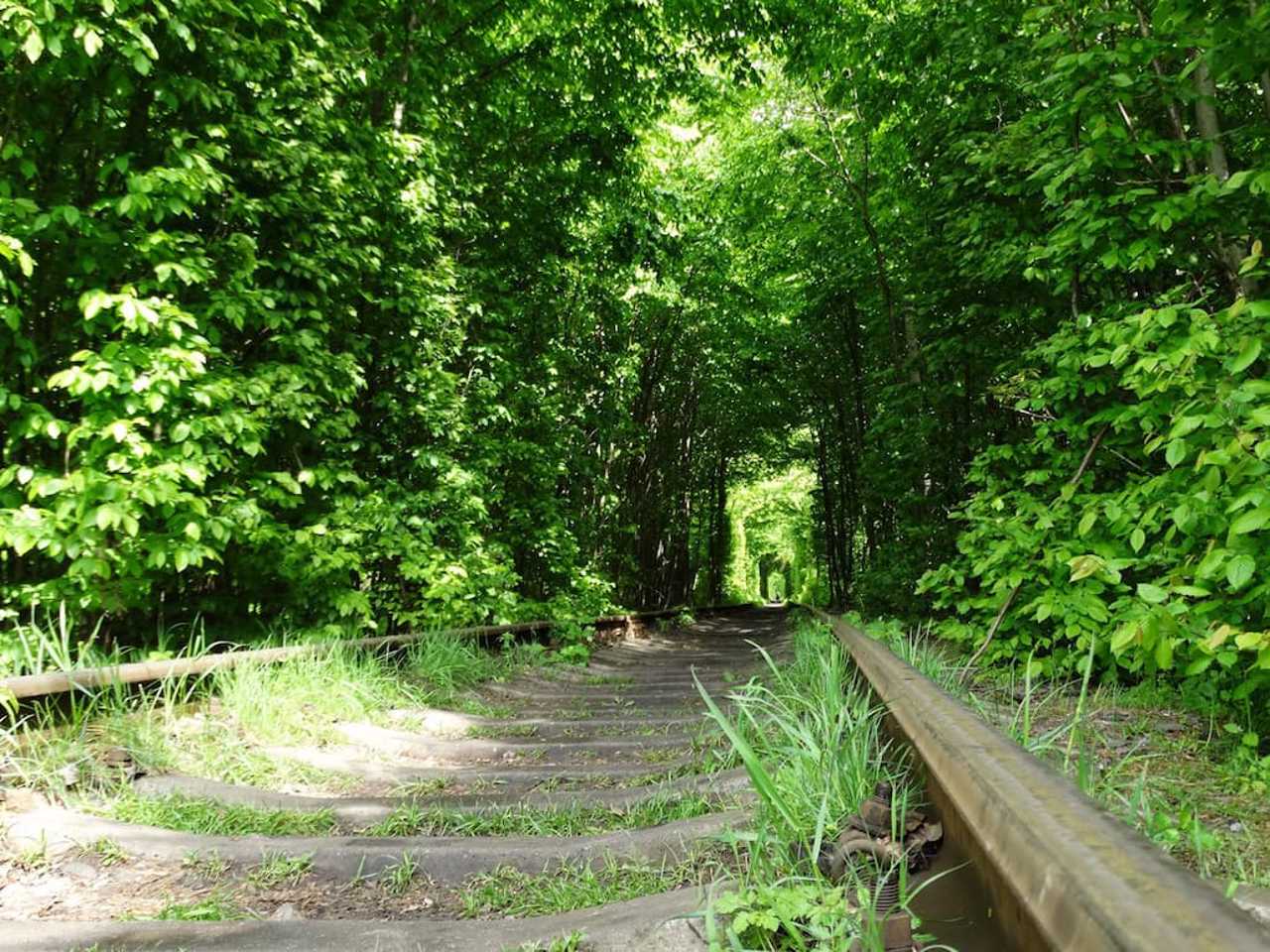 Tunnel of Love, Klevan