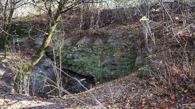 Ruins of Vyshnevetsky Castle, Taikury