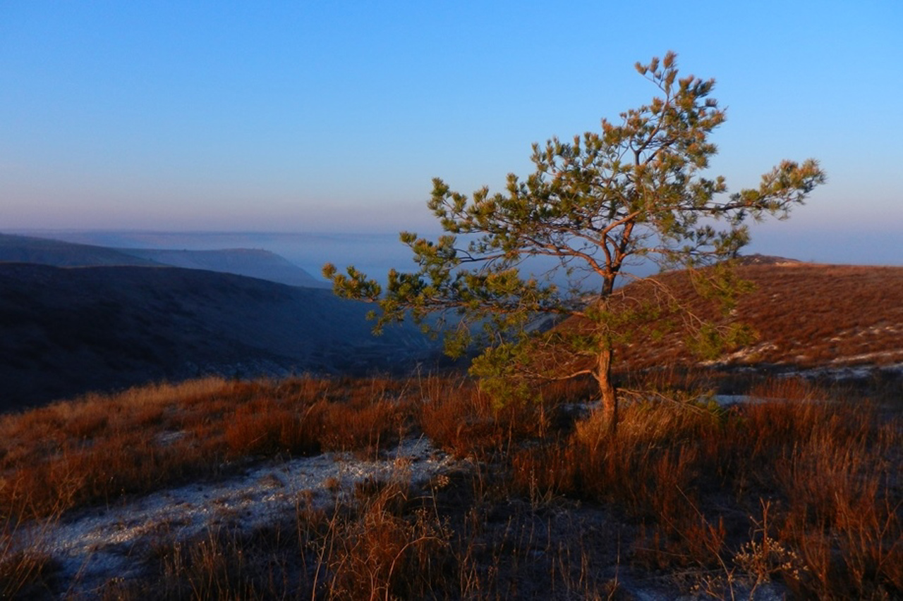 Заповедник Меловая флора, Кривая Лука