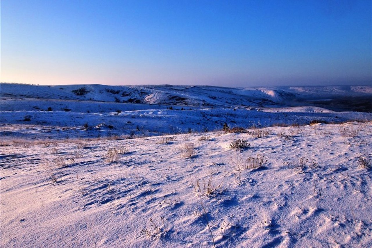 Заповедник Меловая флора, Кривая Лука