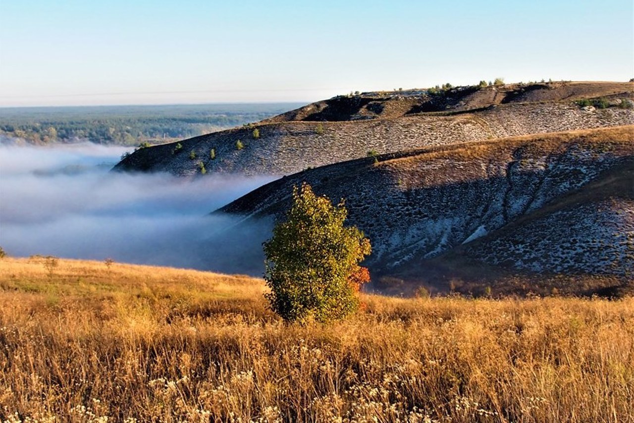 Cretaceous Flora Reserve, Kryva Luka