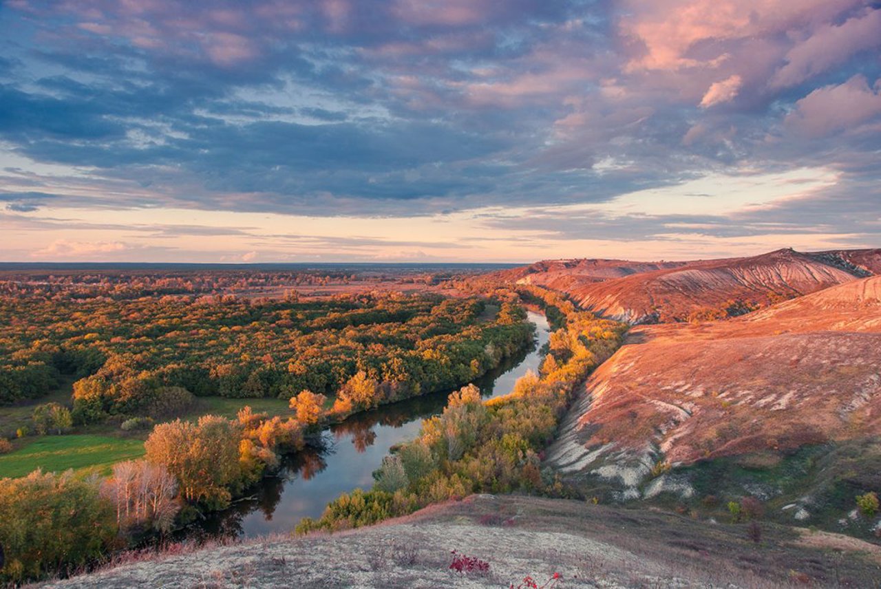 Заповедник Меловая флора, Кривая Лука