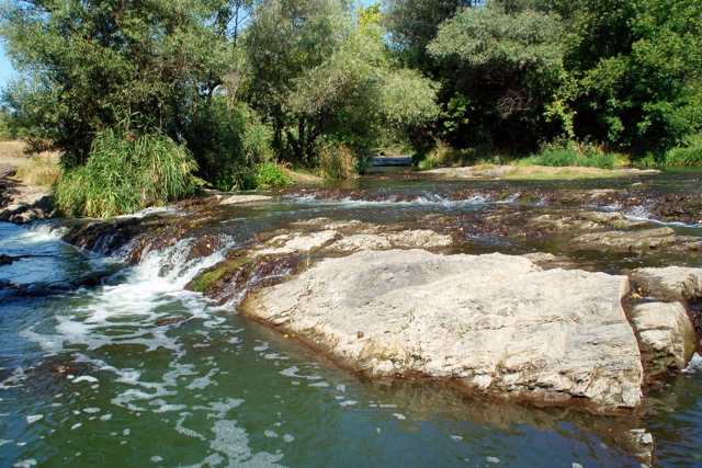 Novopetrivsky Rapid, Sadove