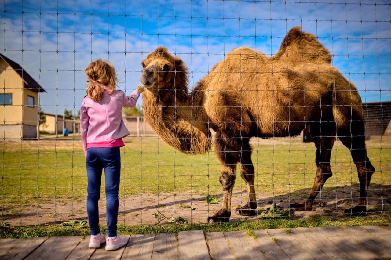 "Yasnohorodka" Family Ecopark