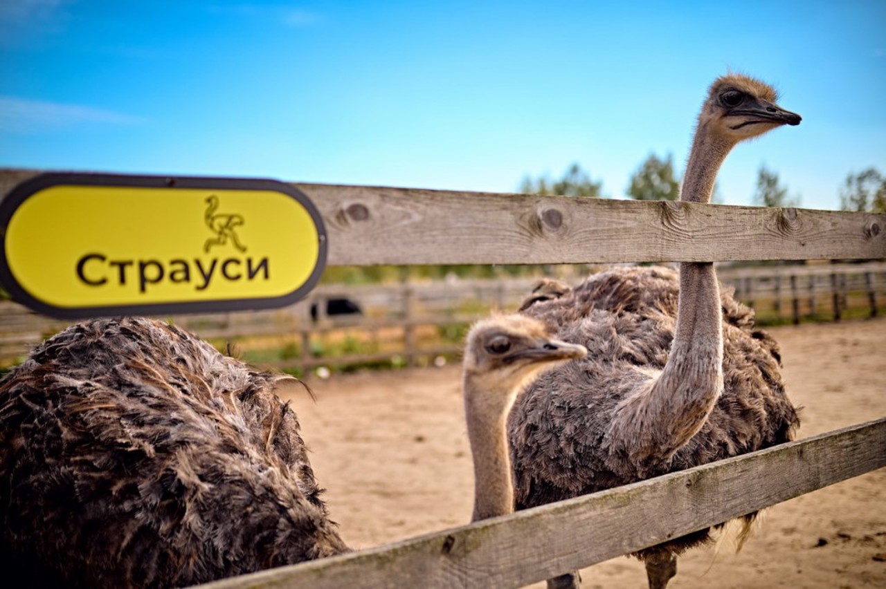 "Yasnohorodka" Family Ecopark